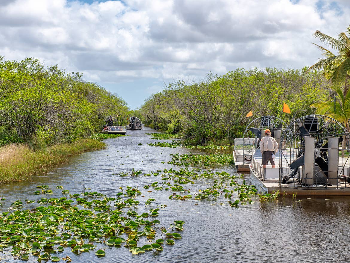 Everglades in Florida