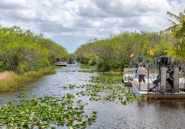 Everglades in Florida