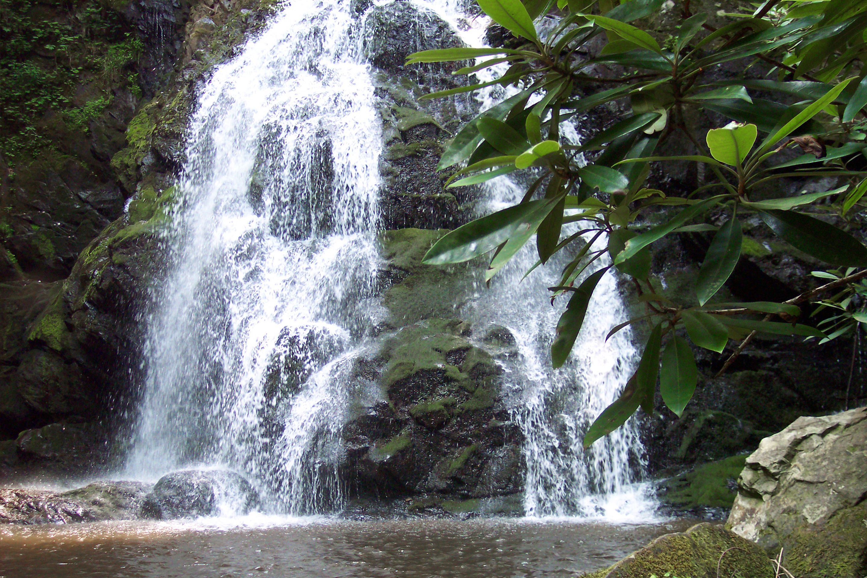 A waterfall cascades over a rock formation at Spruce Flats Falls in Tennessee.
