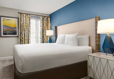 Bright bedroom with modern decor and blue accent wall.