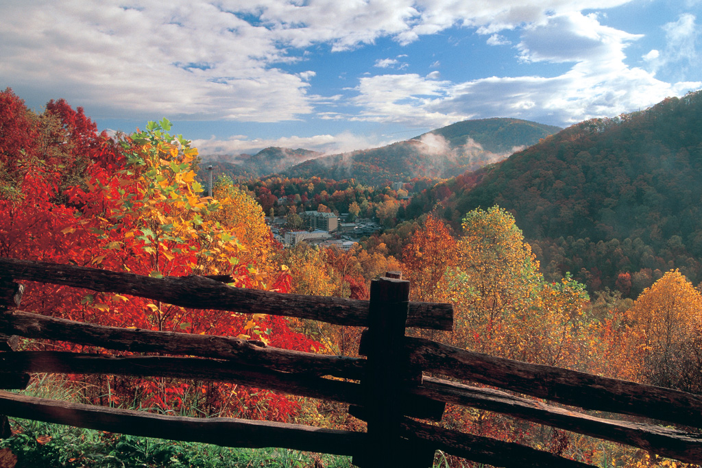Fall foliage in Gatlinburg