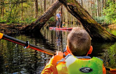 A young boy wearing a neon green life jacket on a kayak holds a paddle and looks towards two trees criss-crossed over the river.