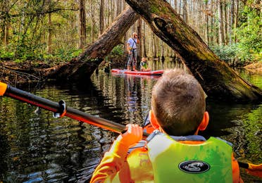 A young boy wearing a neon green life jacket on a kayak holds a paddle and looks towards two trees criss-crossed over the river.