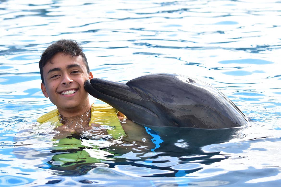 A man wearing a neon lifejacket gets kissed by a dolphin in the water.