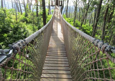 Treetop Skywalk at Anakeesta Theme Park at Gatlinburg, Tennessee