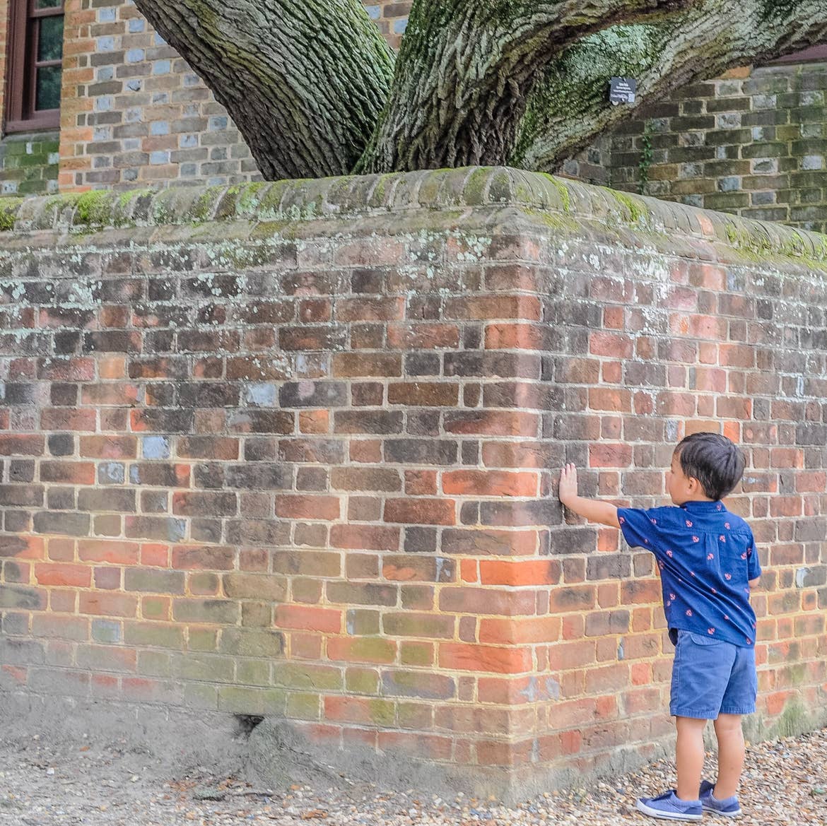 Angelica's son putting his hand on a historic wall in Williamsburg, Virginia.