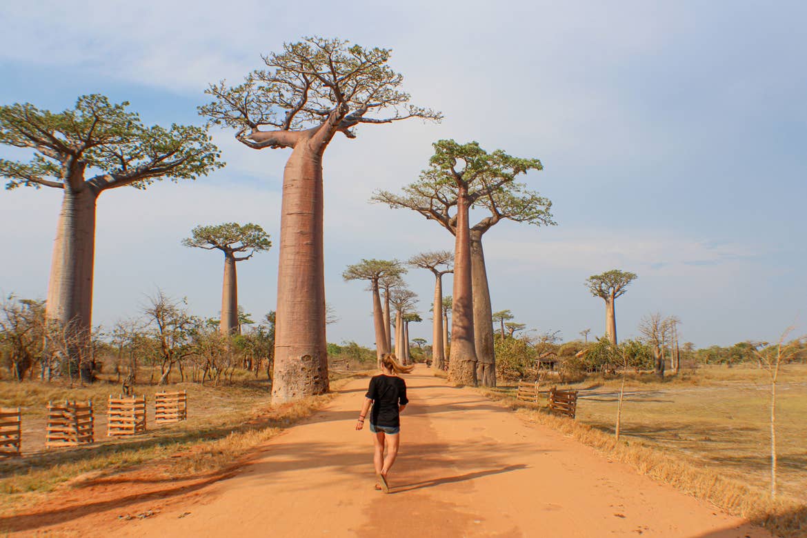 Featured Contributor, Ashlyn George, walks past some Boabab trees in Madagascar.