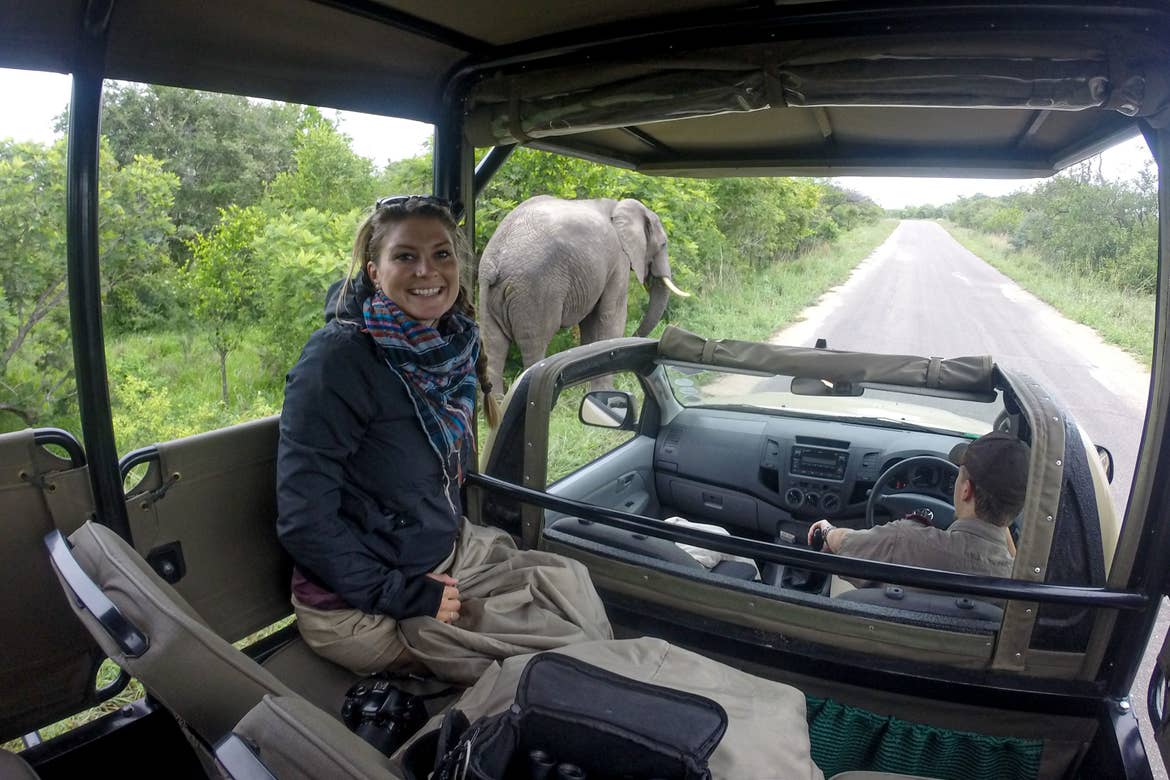 Featured Contributor, Ashlyn George, sits in a safari truck near an elephant in South Africa.