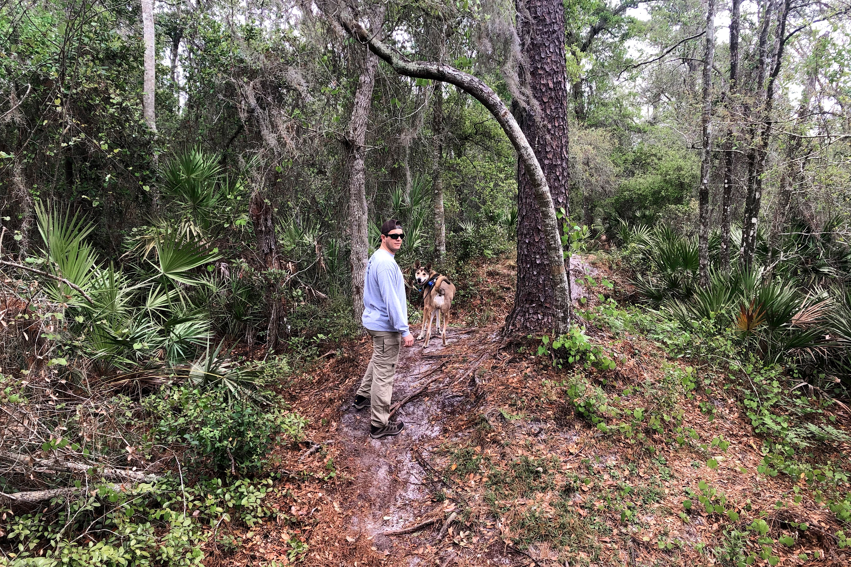A man (left) wearing khaki pants, a long sleeve t-shirt and a baseball cap walks his dog through some tropical flora.