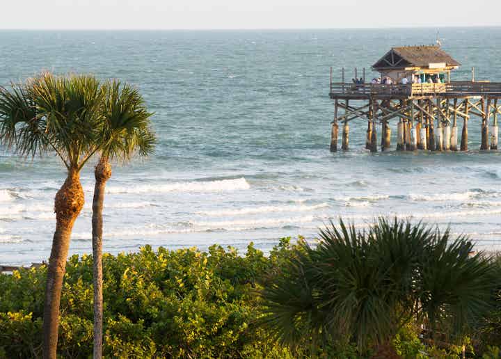 View of the ocean with a pier and palm trees