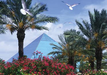 View of Moody Gardens with a pyramid in the background