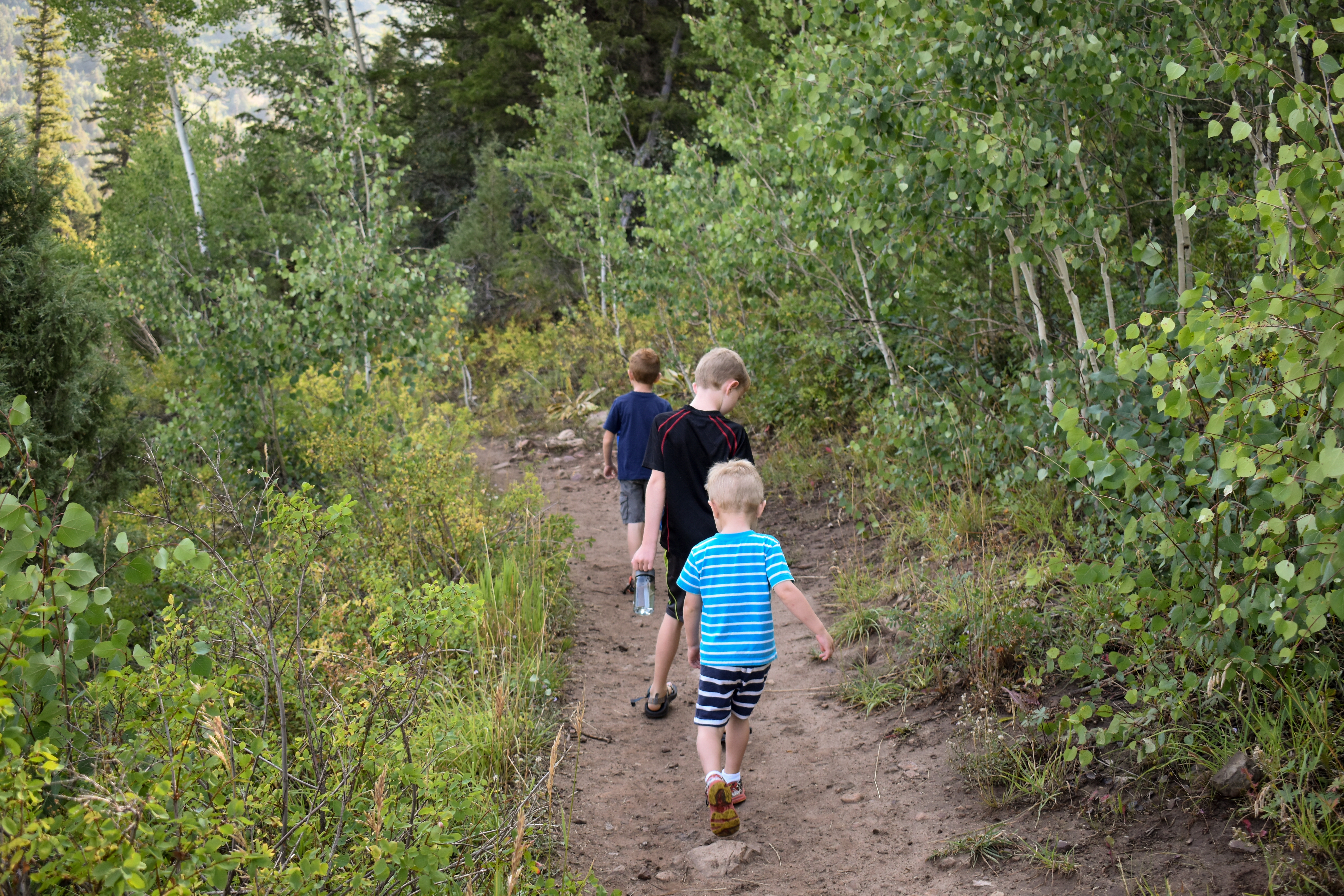Jessica's three sons hiking through the woods in a line