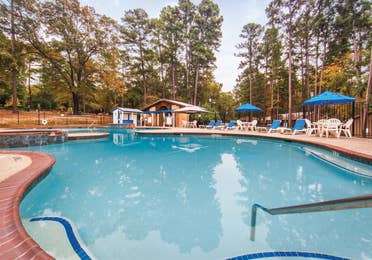 Outdoor pool with sun umbrellas at Holly Lake Resort in Texas.