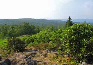 Appalachian Trail near Oak n Spruce Resort.