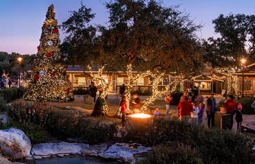 Natural Bridge Caverns outdoor winter wonderland area. Photo courtesy of Natural Bridge Caverns