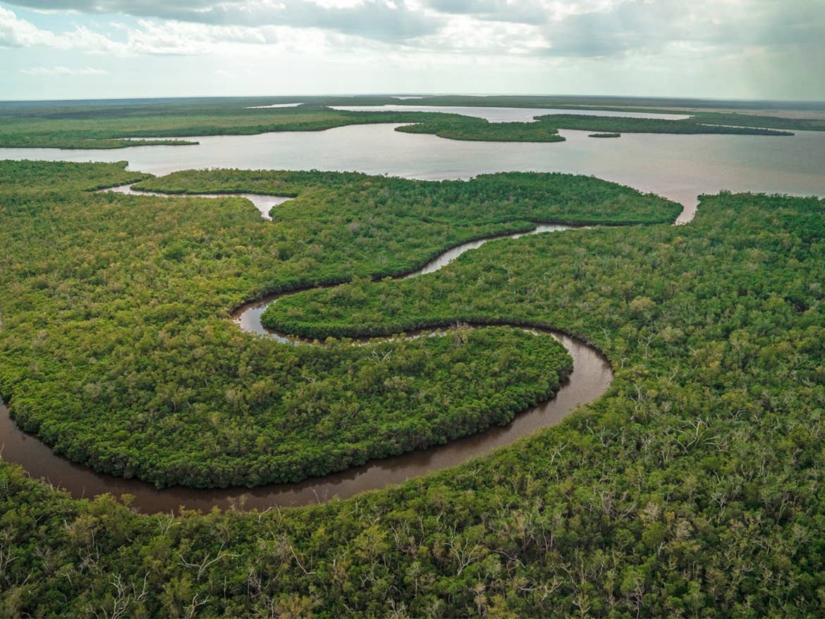 Everglades aerial shot