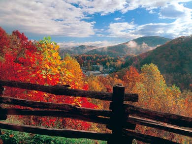 timeshare presentation deals Fall foliage in Gatlinburg