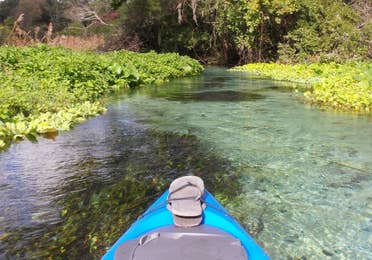 Kayak in the river surrounded by plant life