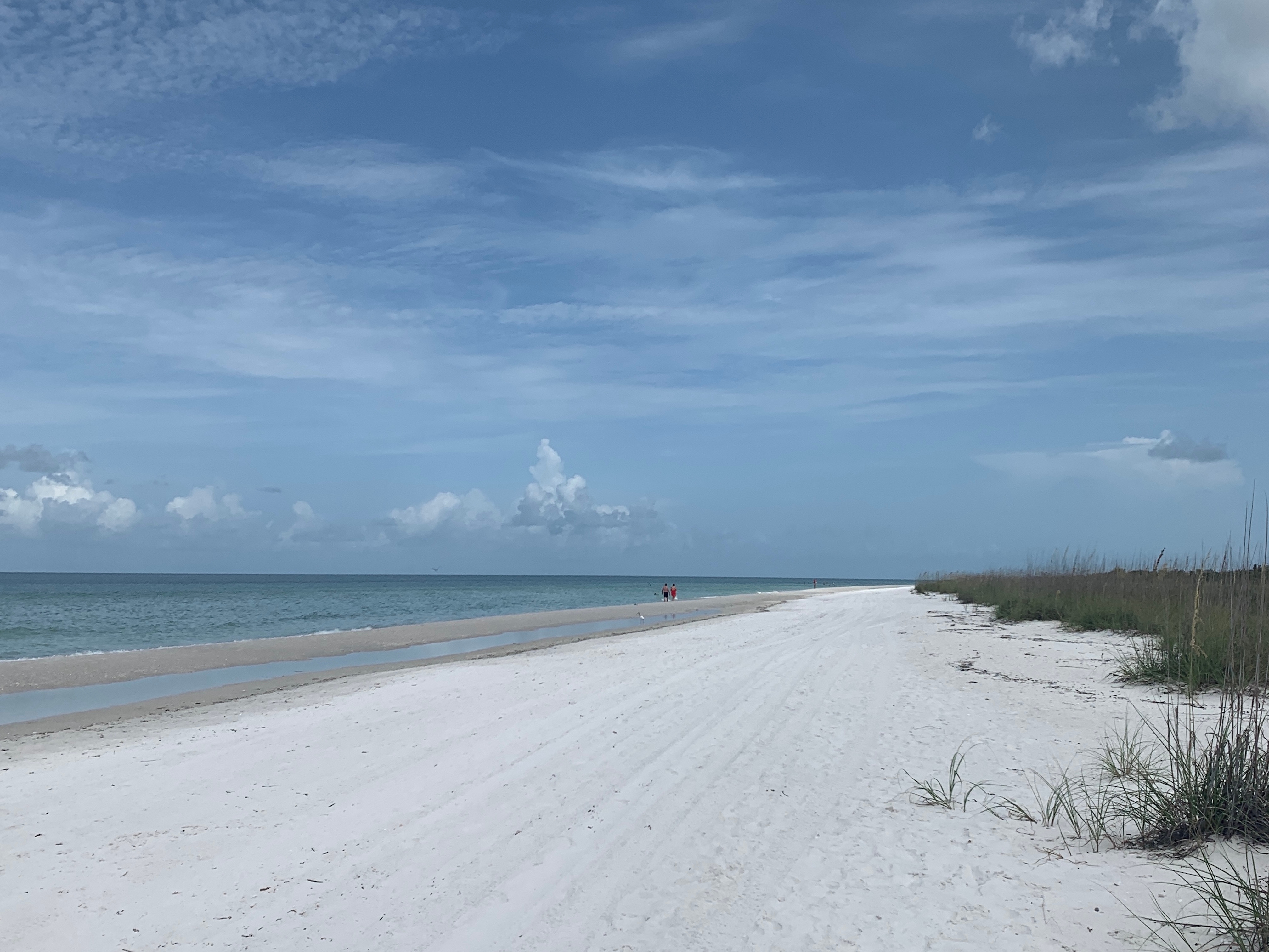 Beautiful view of Tigertail Beach
