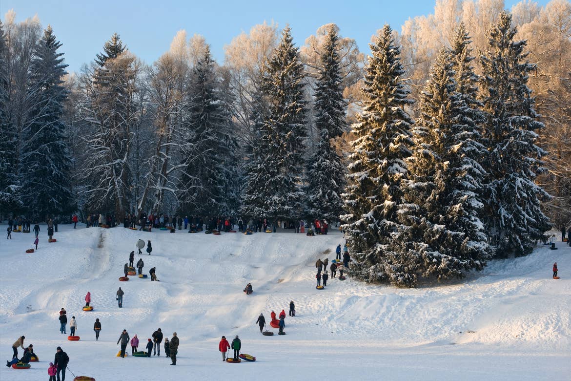 Families pulling each other on sleds on a winter trail.