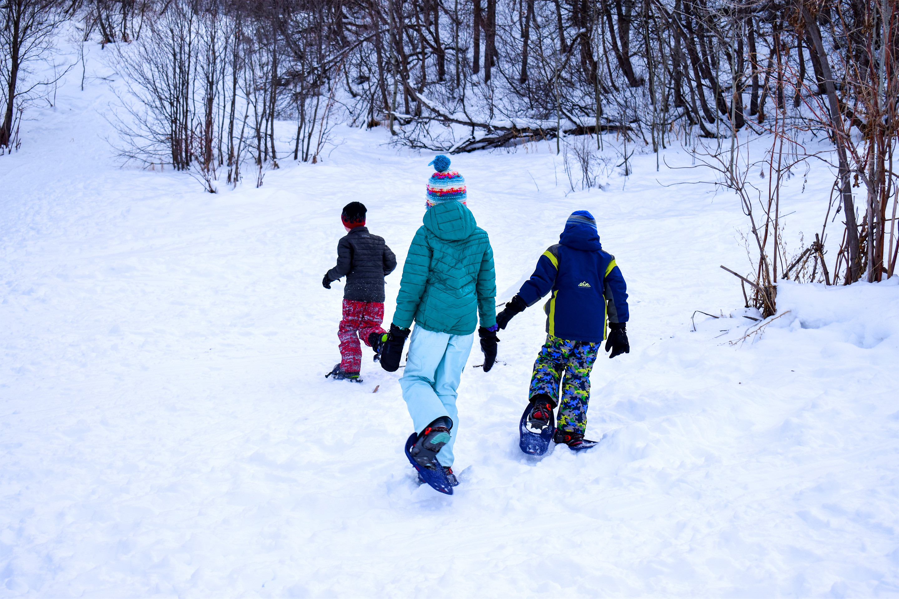 Featured Contributor, Jessica Averett's family, adorn with ski gear, make their way down the snowy slopes.