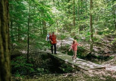 Family hiking in Greylock State Park near Oak n' Spruce Resort in South Lee, Massachusetts.