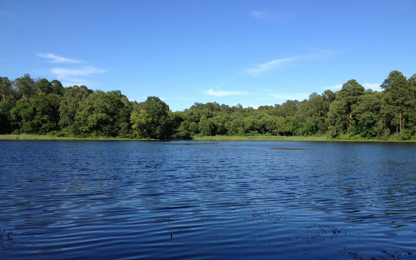 Lake Palestine near Villages Resort in Flint, Texas.