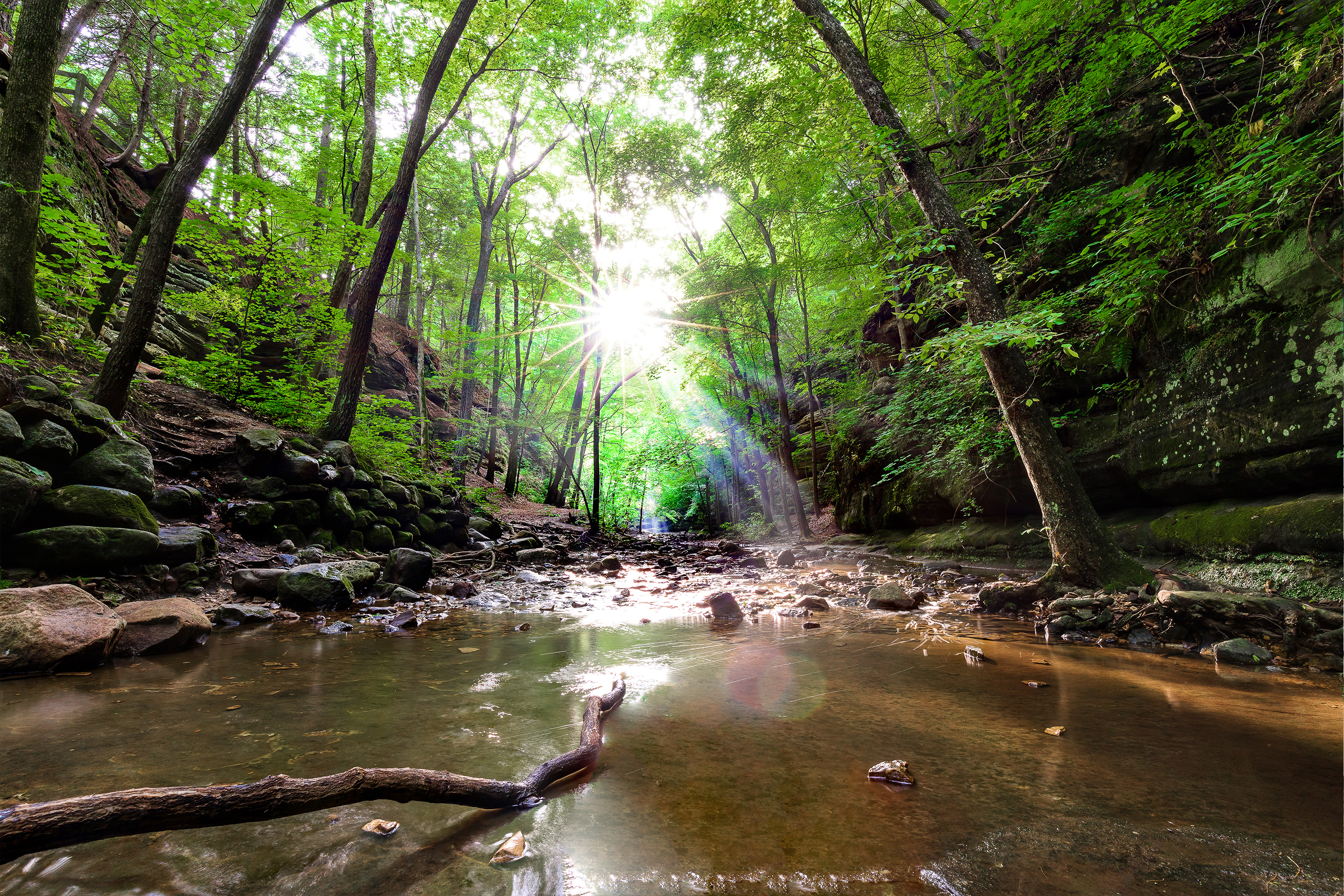 The sun shines through the green-leaf trees at Matthiessen State Park, Illinois.
