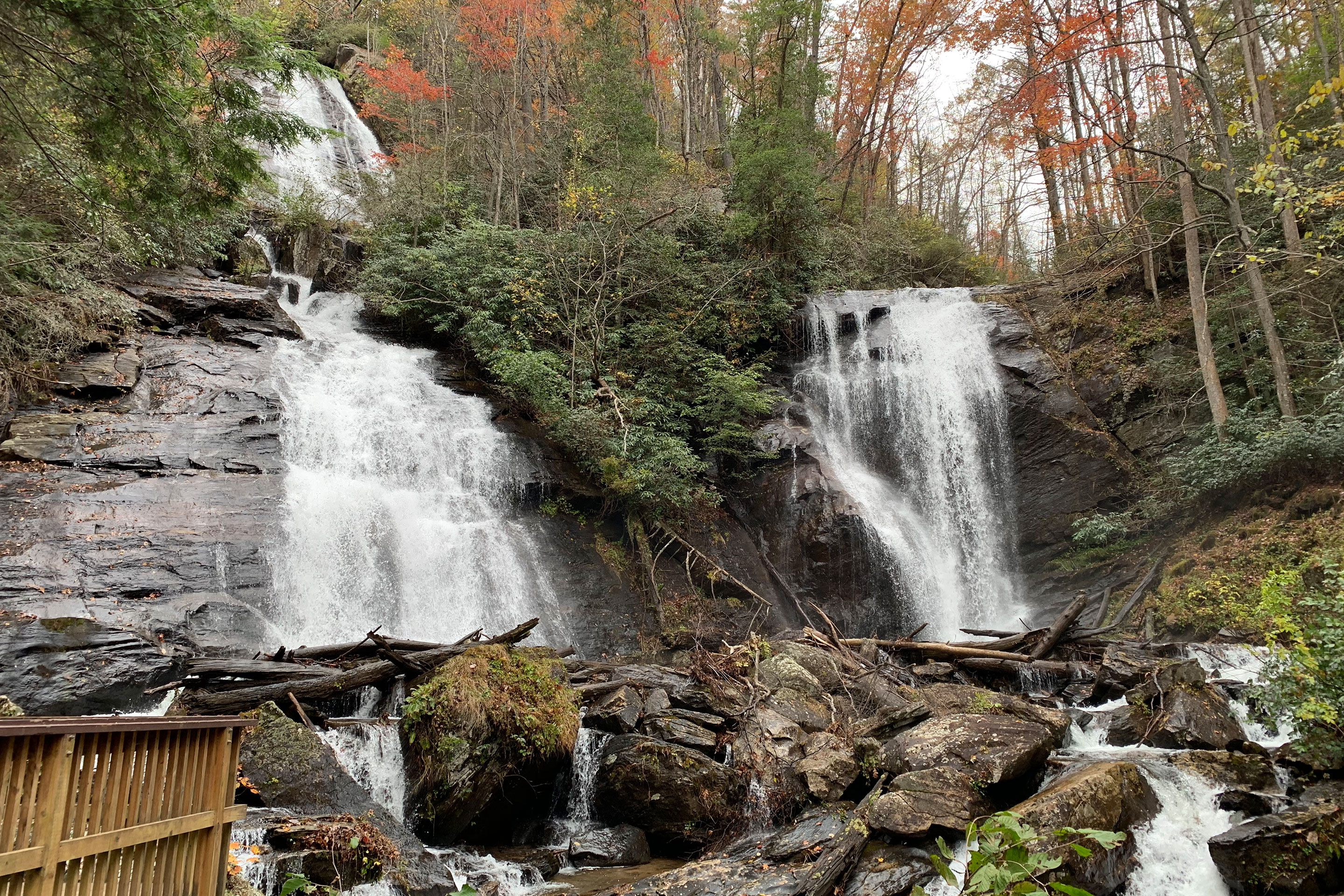 The Anna Ruby Falls waterfall surrounded by lush green woods. 
