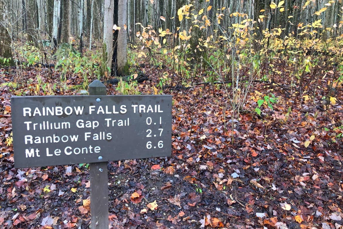 A trail sign that reads, 'RAINBOW FALLS TRAIL, Trillium Gap Trail 0.1, Rainbow Falls 2.7, Mt. LeConte 6.6'