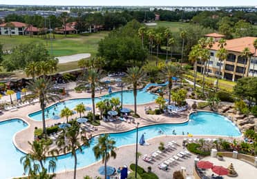 Pool with sun chairs surrounded by palm trees in the North Village at Orange Lake Resort near Orlando, Florida.