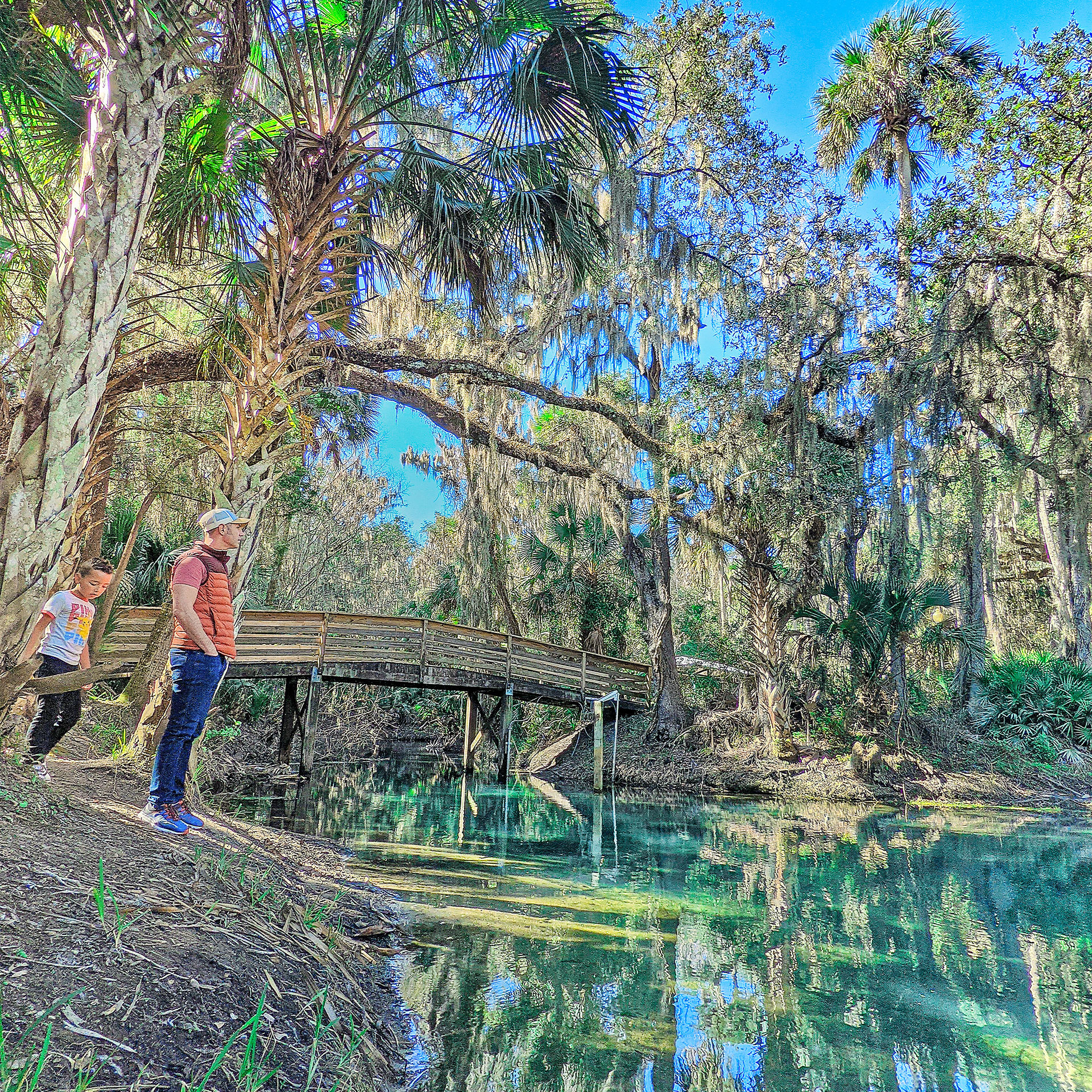 A man (right) and a young boy (left) stand near the edge of a creek and trail bridge at Gemini Springs Park in Florida.