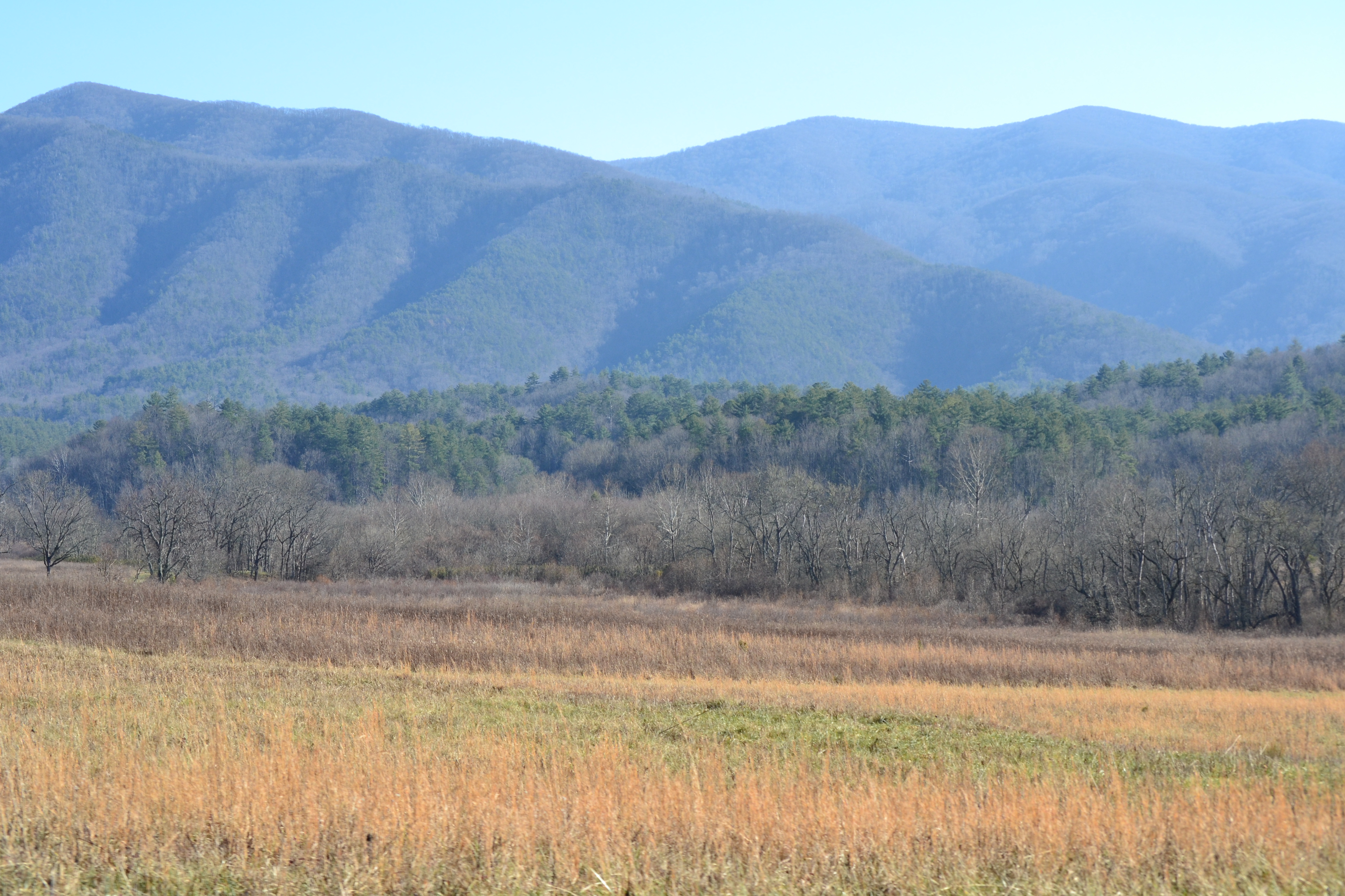 Cades Cove