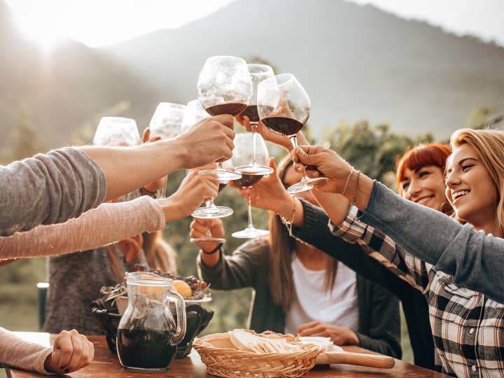 Group of friends cheering with wine glasses.