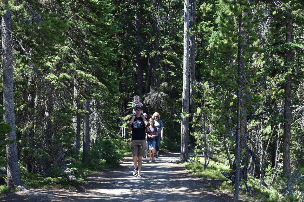 Featured Contributor, Jessica Averett's family walks through the Grove of Patriarchs at Mount Rainier National Park.