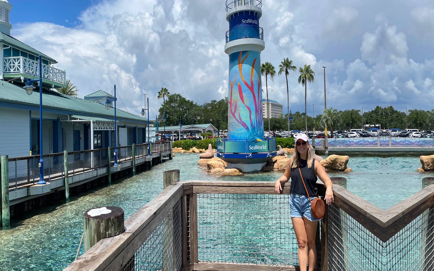 Roller Coasters - SeaWorld Orlando, Florida