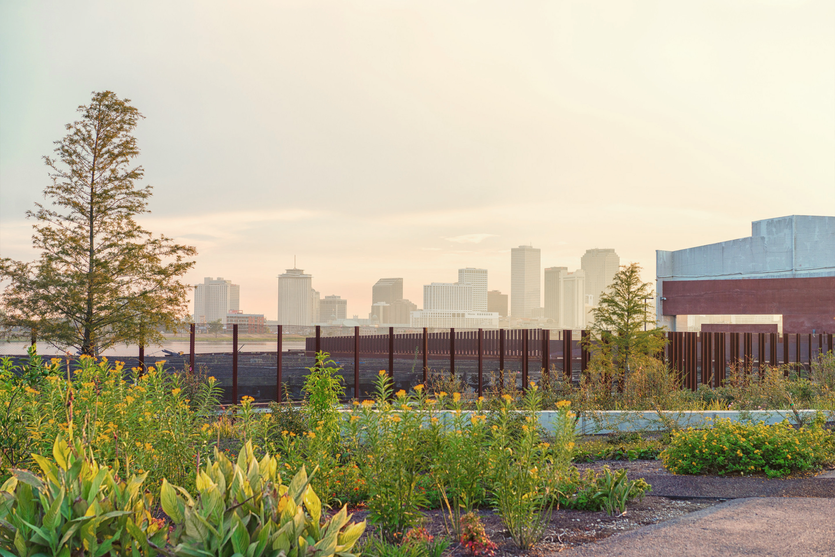 A view of the New Orleans skyline in the distance under a cloudy, sunset sky with brown iron fences and greenery at Crescent Park.