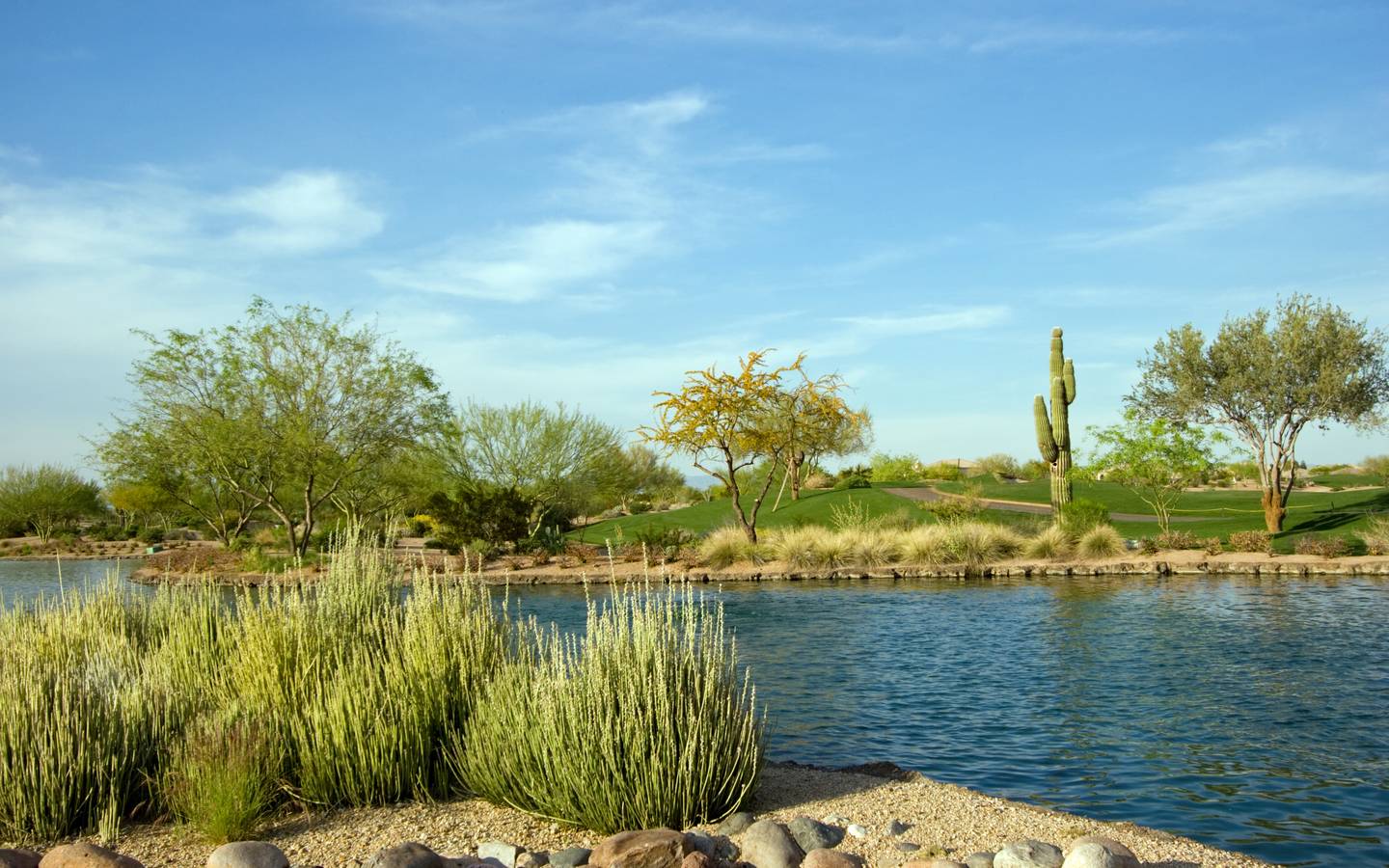 Lake set in the middle of a desert landscape