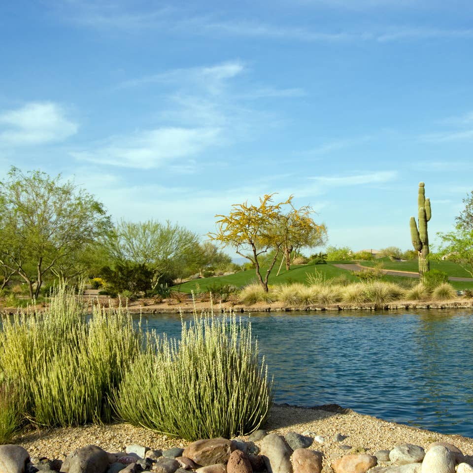 Lake set in the middle of a desert landscape