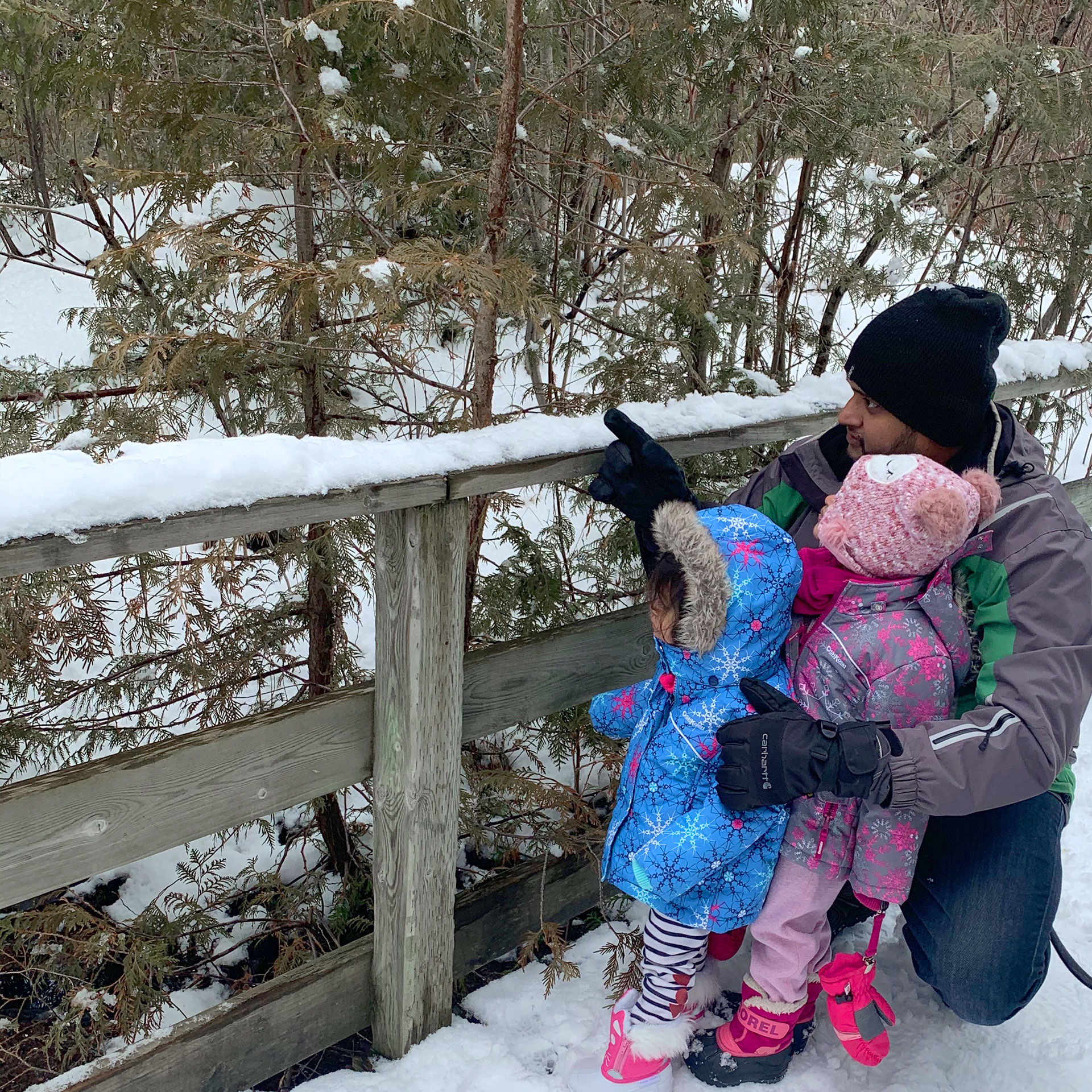 Rohan points out some greenery to Amarra and Myrra in the snow.