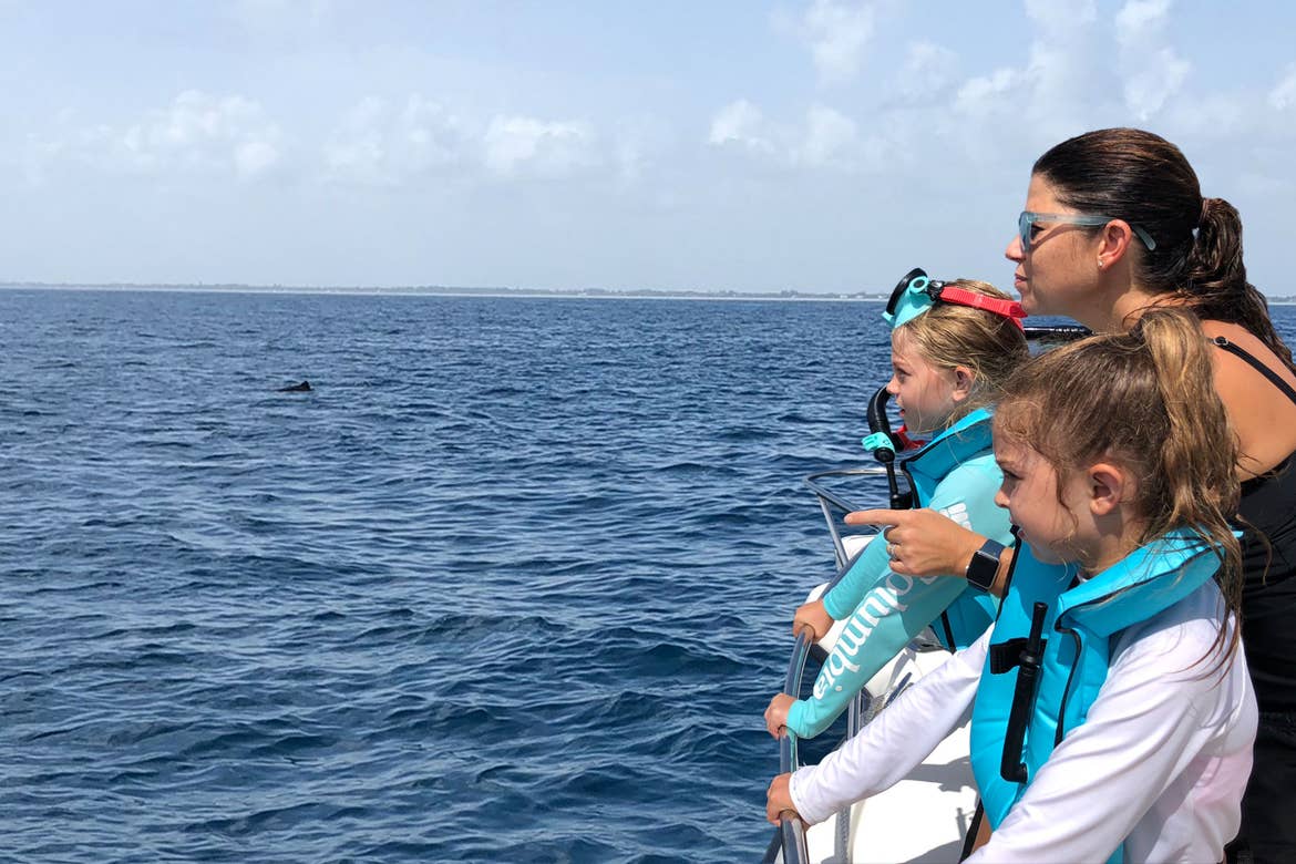 Featured Contributor, Chris Johnston (right), and her two daughters, Kyler (front-right) and Kyndall (back-left), wear multi-colored snorkel gear while watching a dolphin in the ocean.