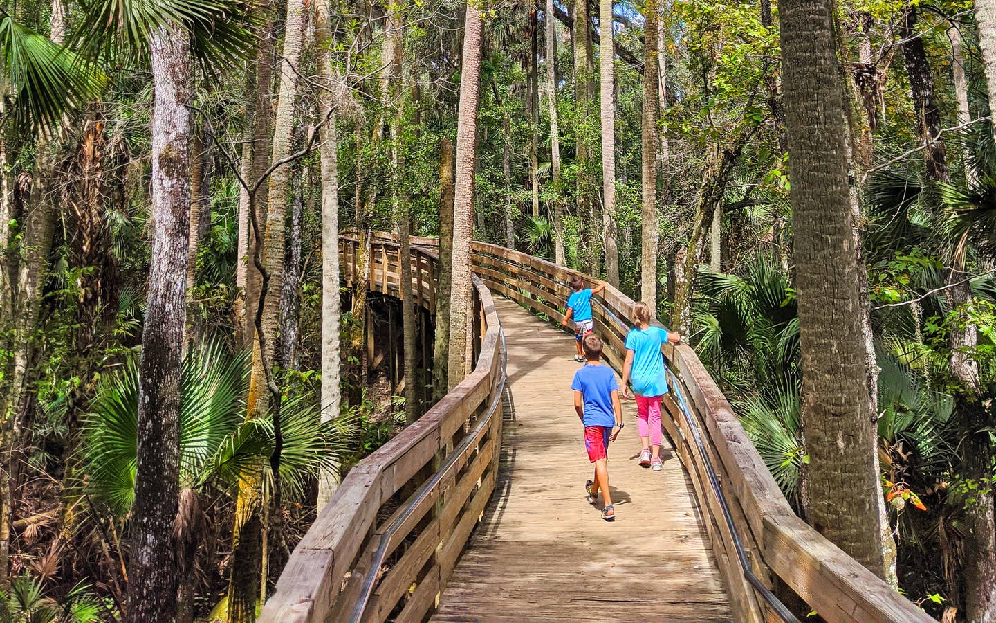 Two young boys and a young girl walk up a wooden trail bridge through some trees and over a creek.