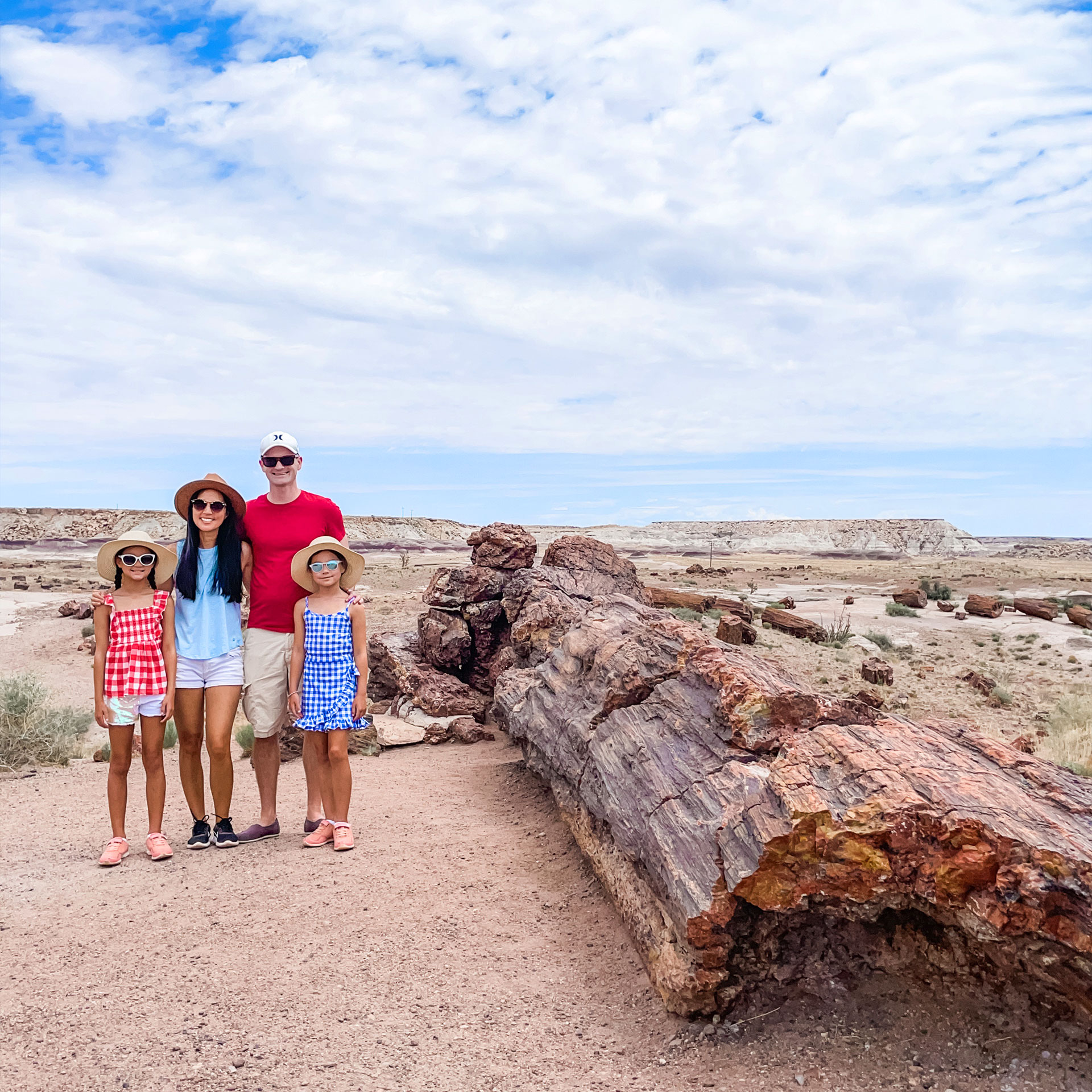 Two young girls, a man and woman stand wearing hats near a large petrified wood stump in the desert under a cloudy blue sky.