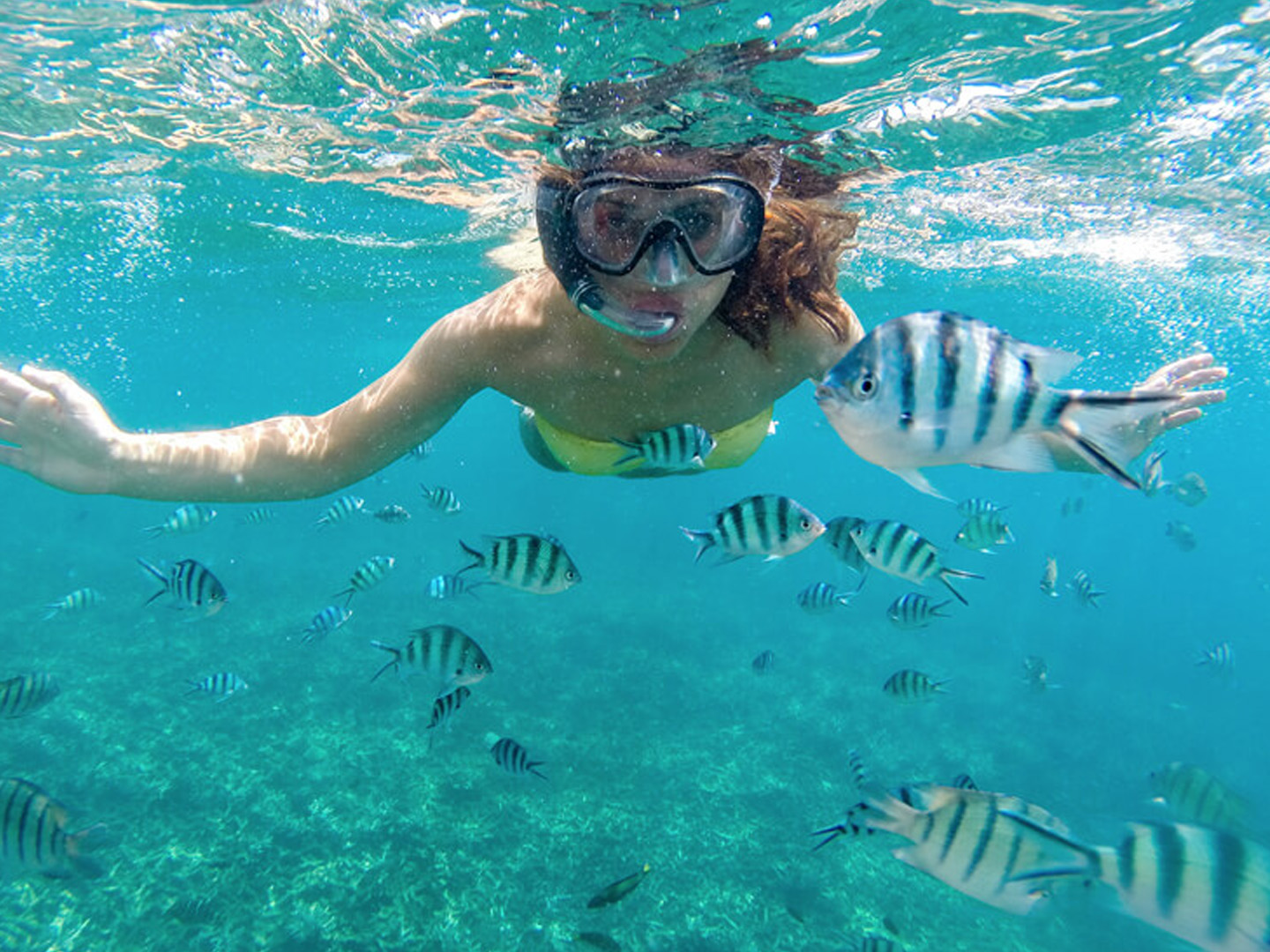 woman snorkeling with fish