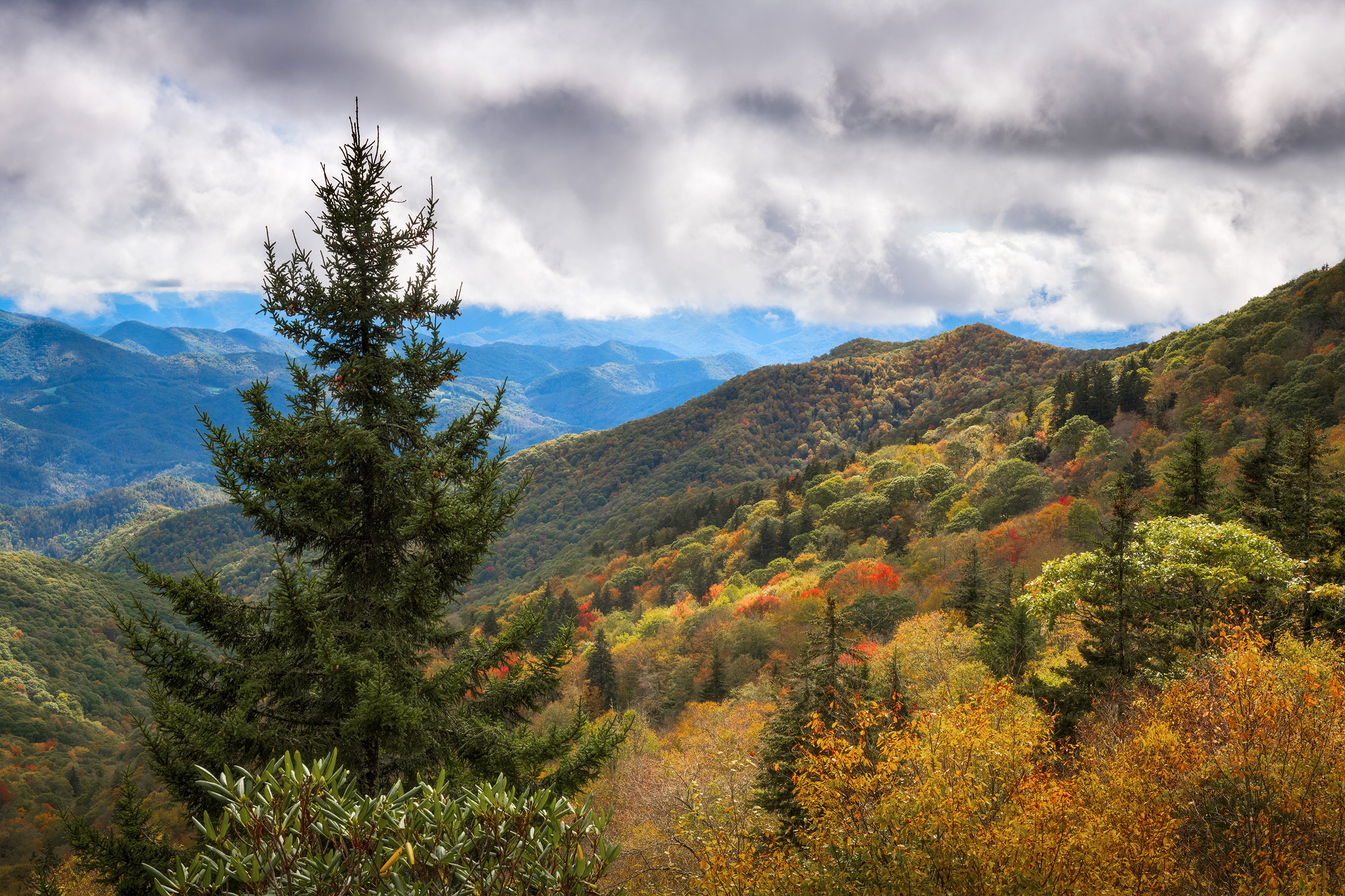 Fall foliage appears along the Blue Ridge Parkway near Asheville, North Carolina.
