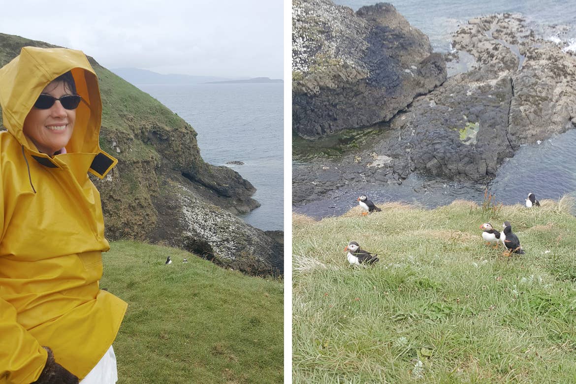 Left: A woman wears a yellow raincoat and sunglasses as she stands near the cliffs of the Isle of Staffa surrounded by puffins. Right: A flock of Puffins gather on a mossy hill under a stormy grey sky.