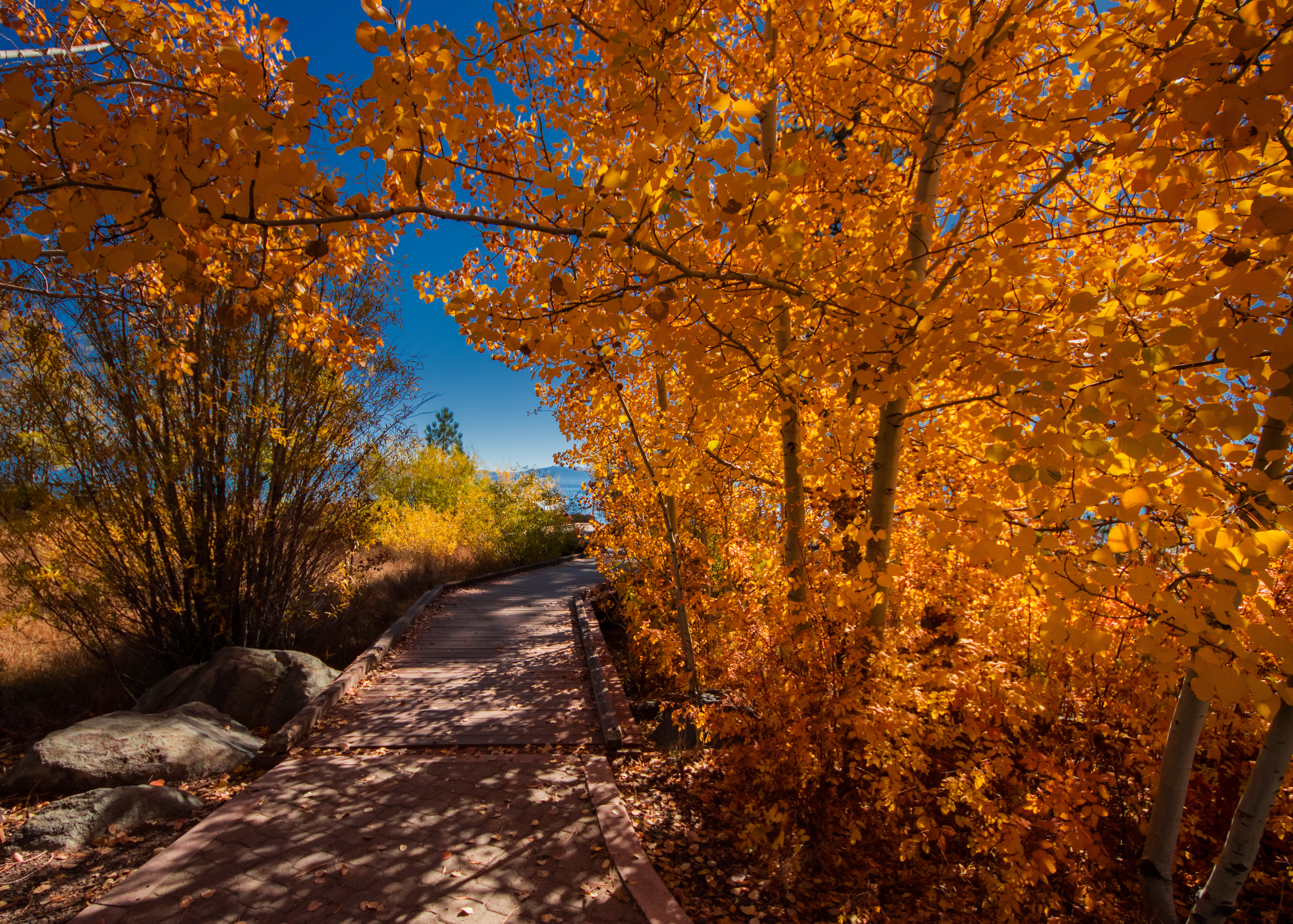 Tahoe path