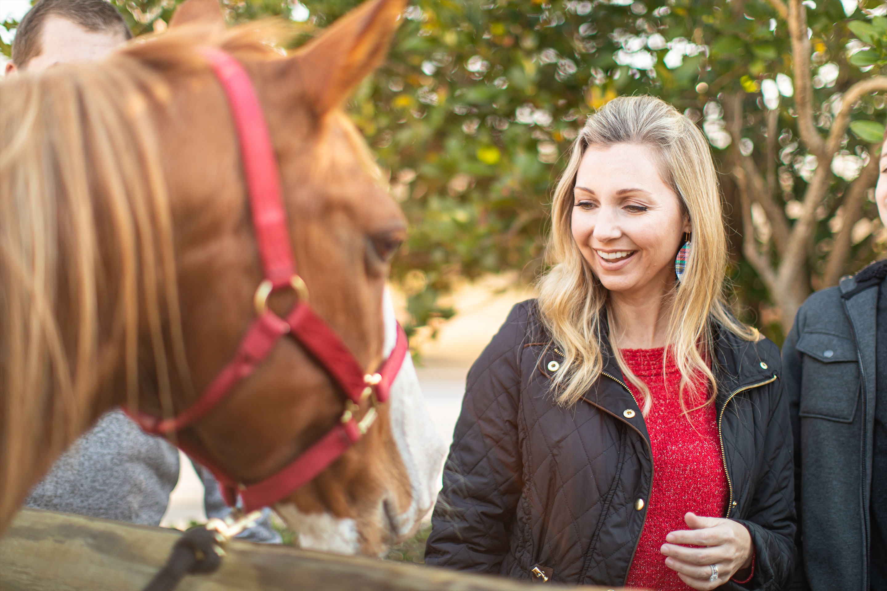Author, Amanda Nall, feeds a horse at our stable in the Villages Resort located in Texas.