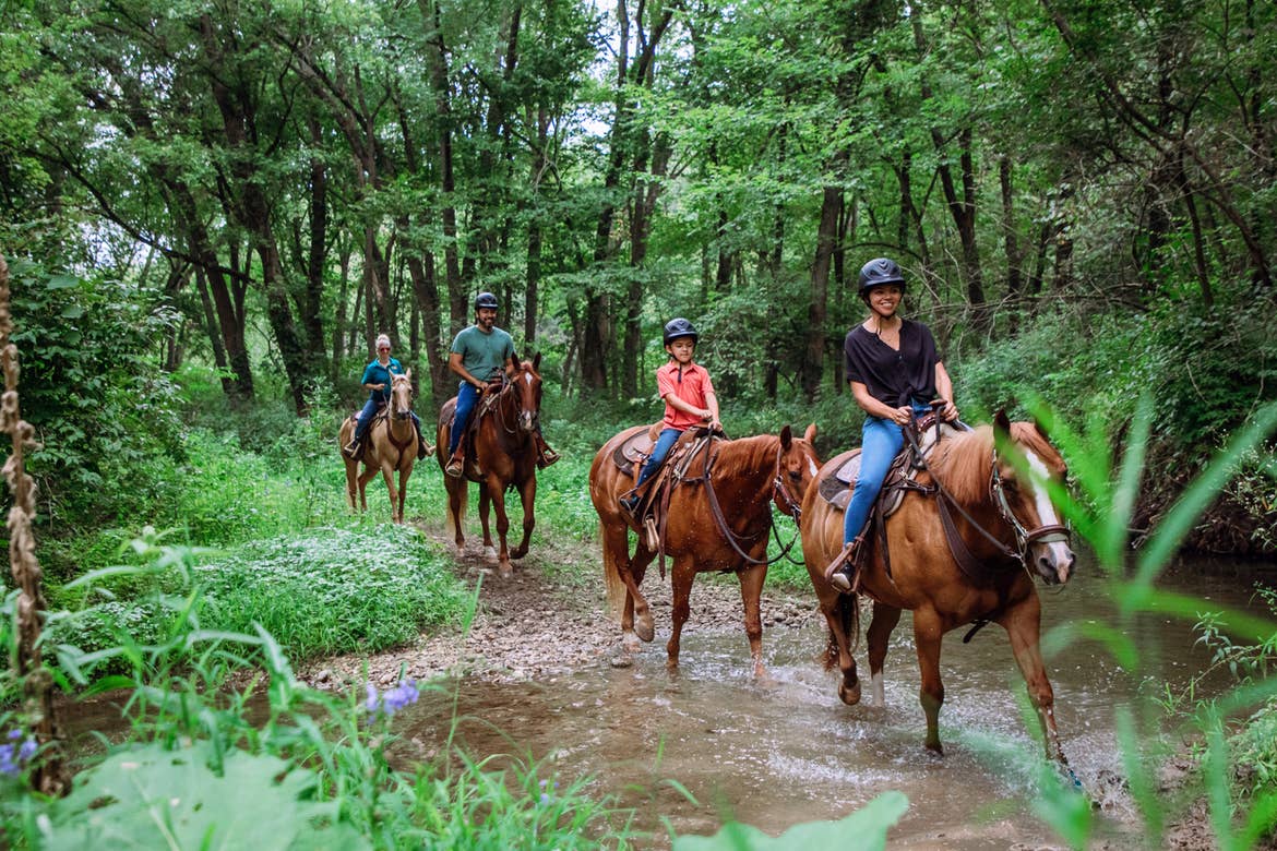 A family of four go horseback riding through a creek.