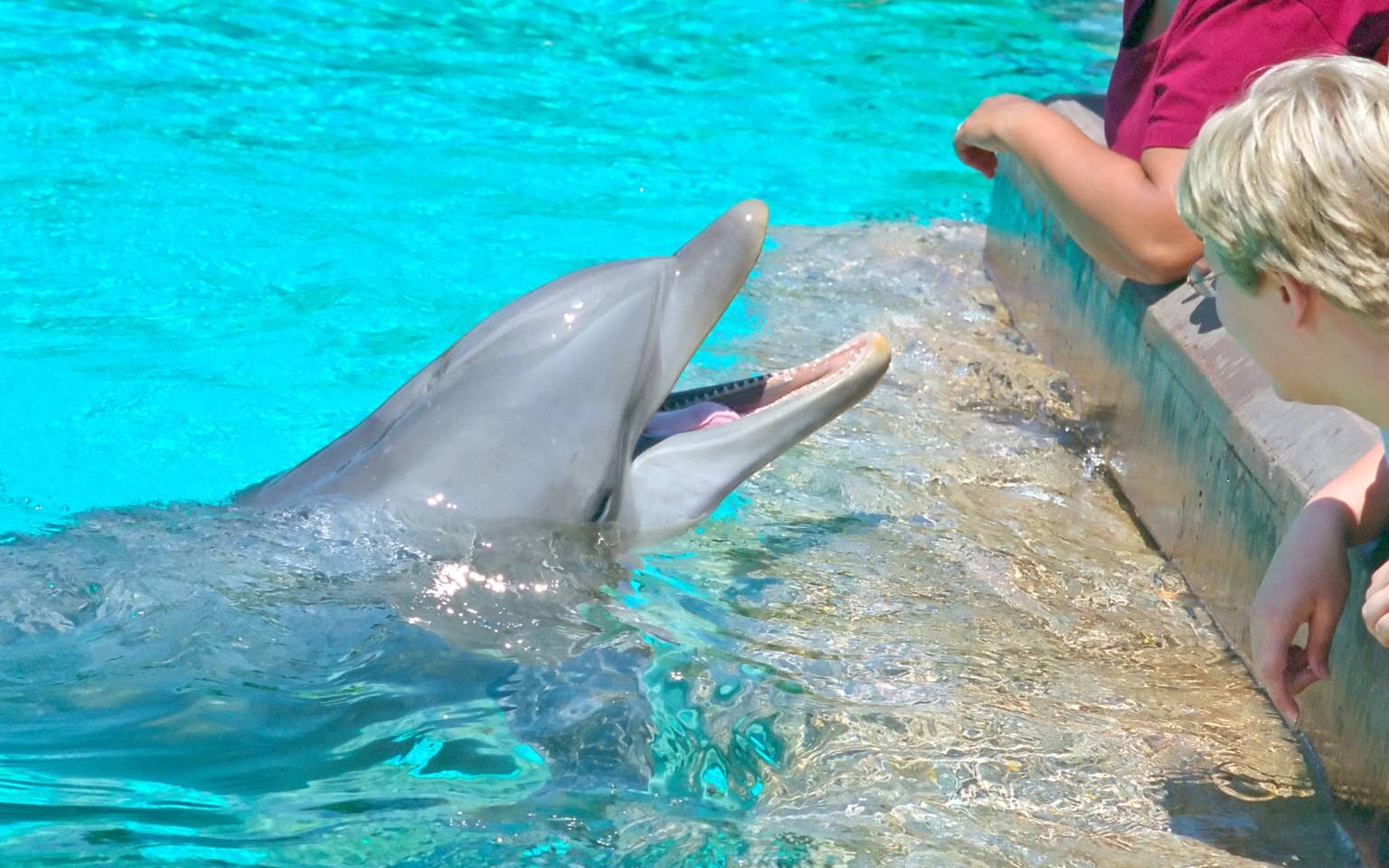 SeaWorld Orlando: Behind the Scenes | HolidayInnClub.com